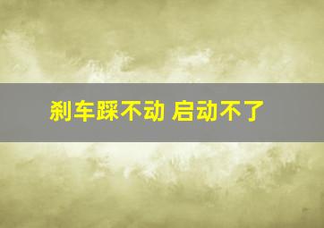 刹车踩不动 启动不了